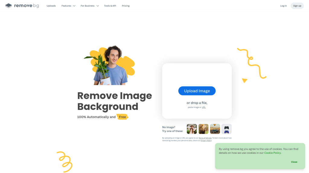 Remove.bg dashboard for automatic background removal from images